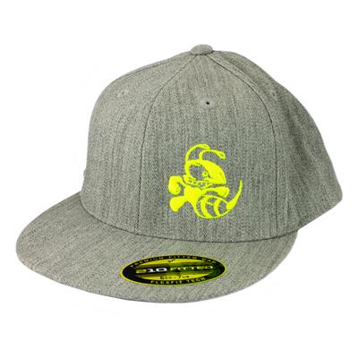 Discraft 210 Fitted FlexFit Hat - Buzzz Design