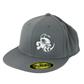 Discraft 210 Fitted FlexFit Hat - Buzzz Design