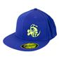 Discraft 210 Fitted FlexFit Hat - Buzzz Design