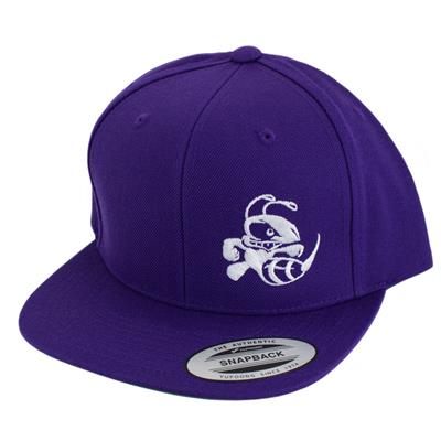 Discraft Snapback Flat Bill Hat - Buzzz Design