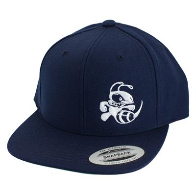 Discraft Snapback Flat Bill Hat - Buzzz Design