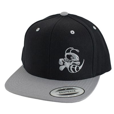 Discraft Two Tone Snapback Flatbill Hat - Buzzz Design