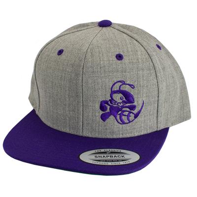 Discraft Two Tone Snapback Flatbill Hat - Buzzz Design